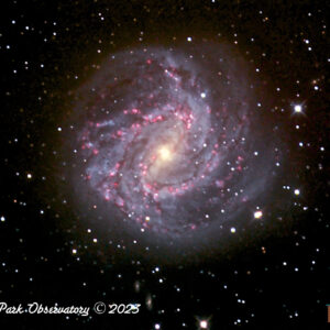 Southern Pinwheel Galaxy