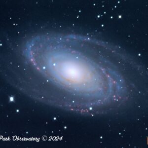 Bode's Galaxy