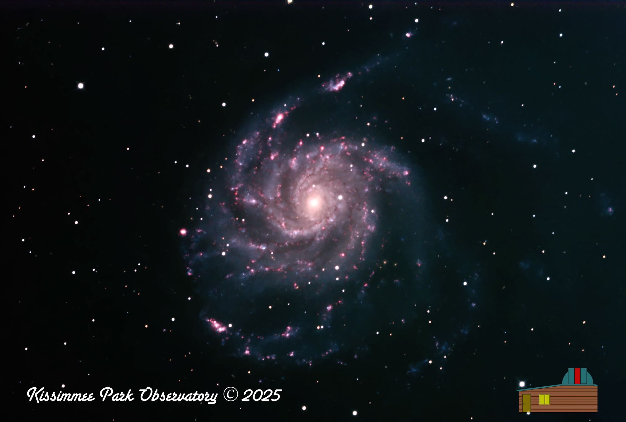 M101